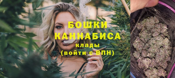 ПСИЛОЦИБИНОВЫЕ ГРИБЫ Баксан