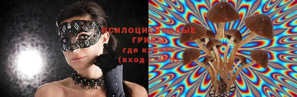 ПСИЛОЦИБИНОВЫЕ ГРИБЫ Баксан