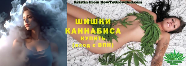 ПСИЛОЦИБИНОВЫЕ ГРИБЫ Баксан