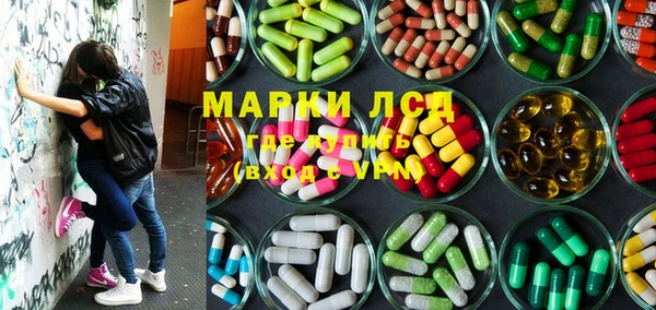 ПСИЛОЦИБИНОВЫЕ ГРИБЫ Баксан