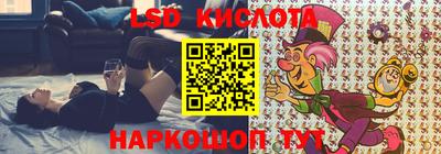 гашик Новокубанск