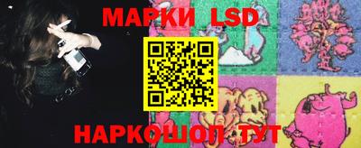 гашик Новокубанск