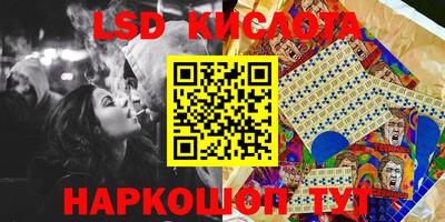 гашик Новокубанск