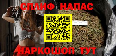 гашик Новокубанск