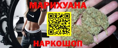 гашик Новокубанск