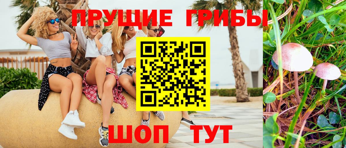 Дальнегорск  Псилоцибиновые грибы Psilocybe  Вход с VPN 