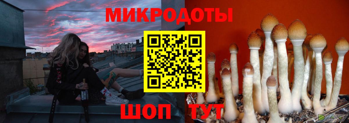 Галлюциногенные грибы ЛСД Дальнегорск