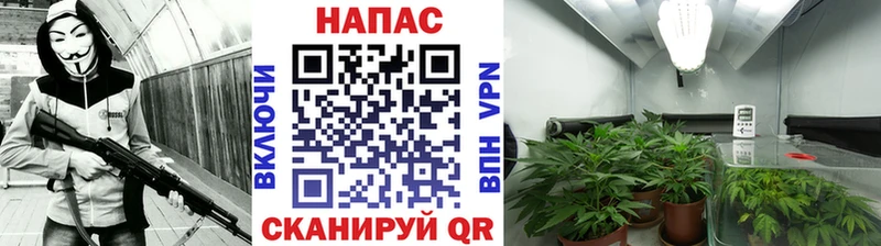 Каннабис конопля  даркнет телеграм  Дальнегорск 